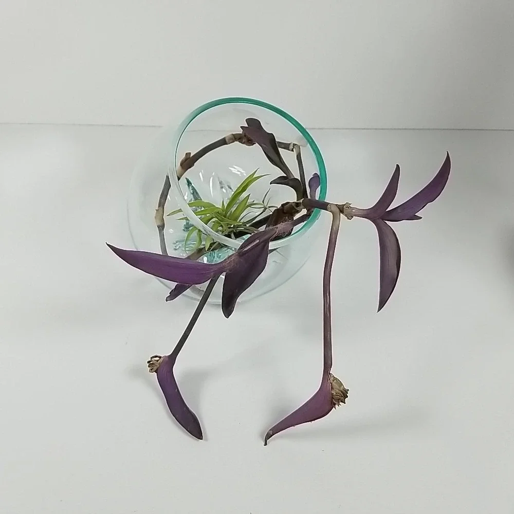 Molten Aqua Art Glass Bowl Decorative Terrarium Vase FreeForm Unique Planter